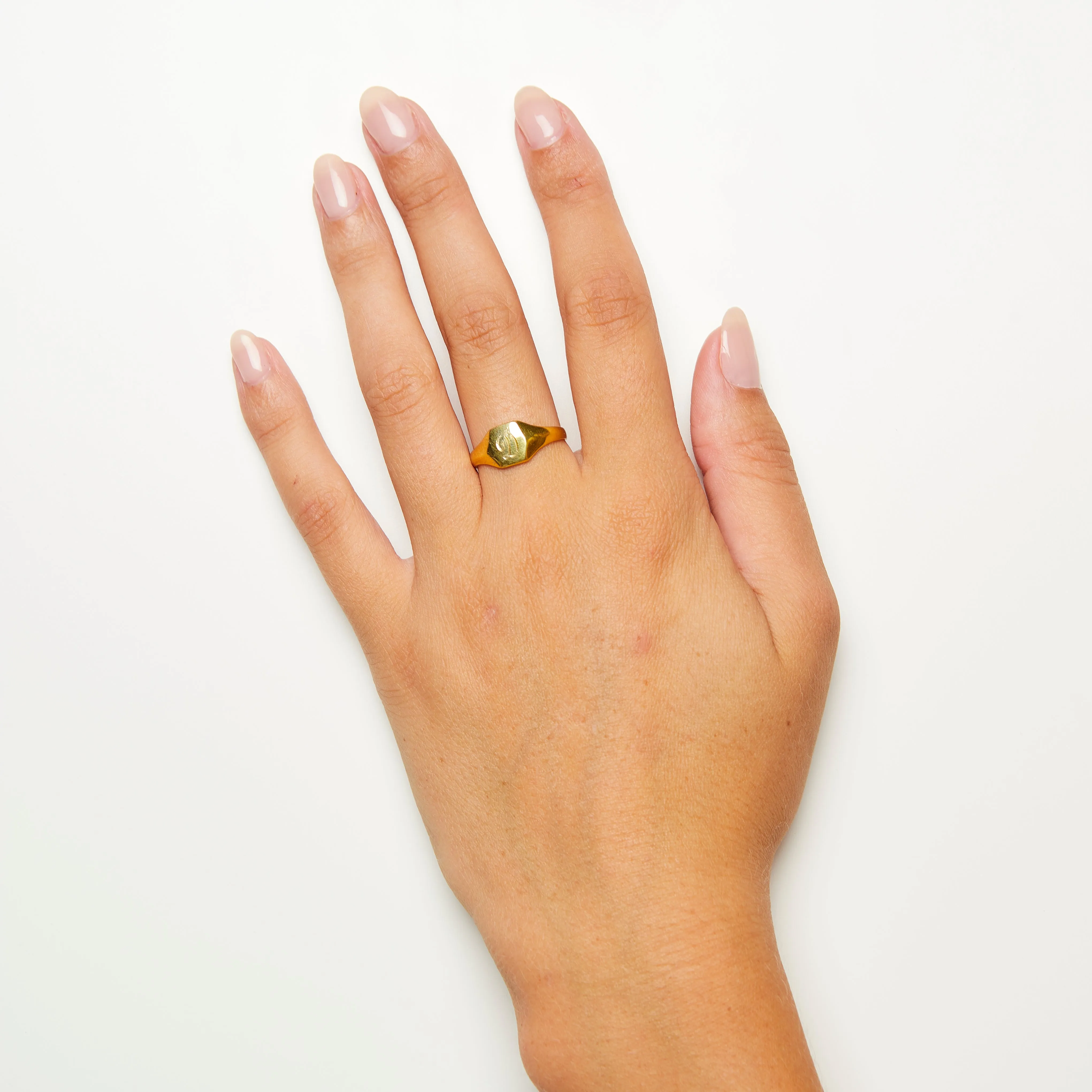 Pijama Signet Ring Solid Gold