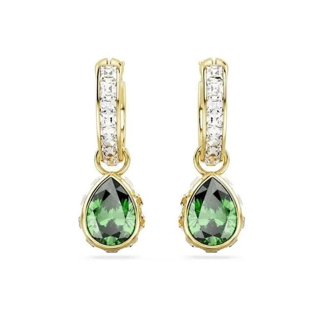 Stilla Pear Cut Green Gold-tone plated Drop Earrings 5662922