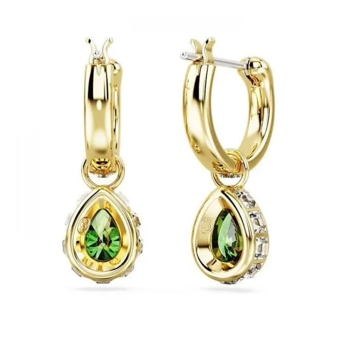 Stilla Pear Cut Green Gold-tone plated Drop Earrings 5662922