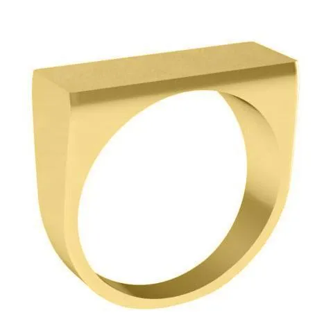 Wide Rectangular Signet Ring for Men - 24mm x 9mm